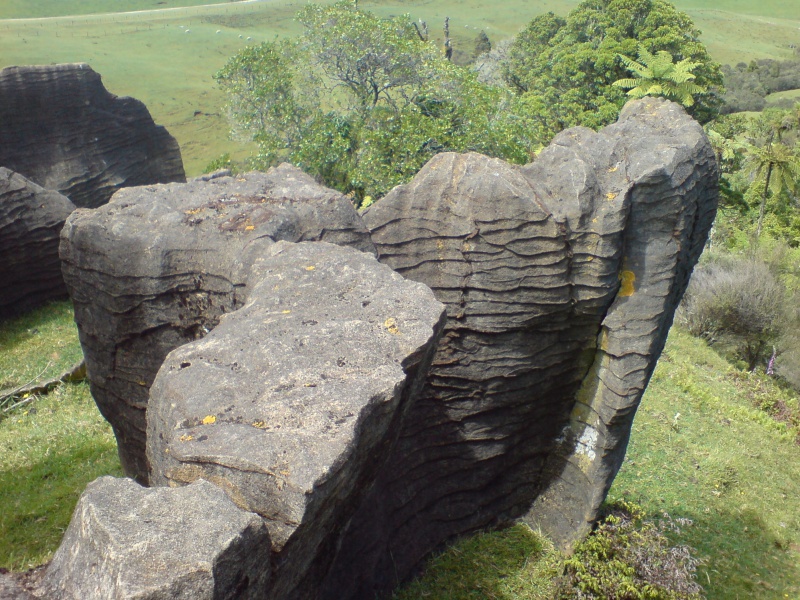 File:Limestone 1.jpg